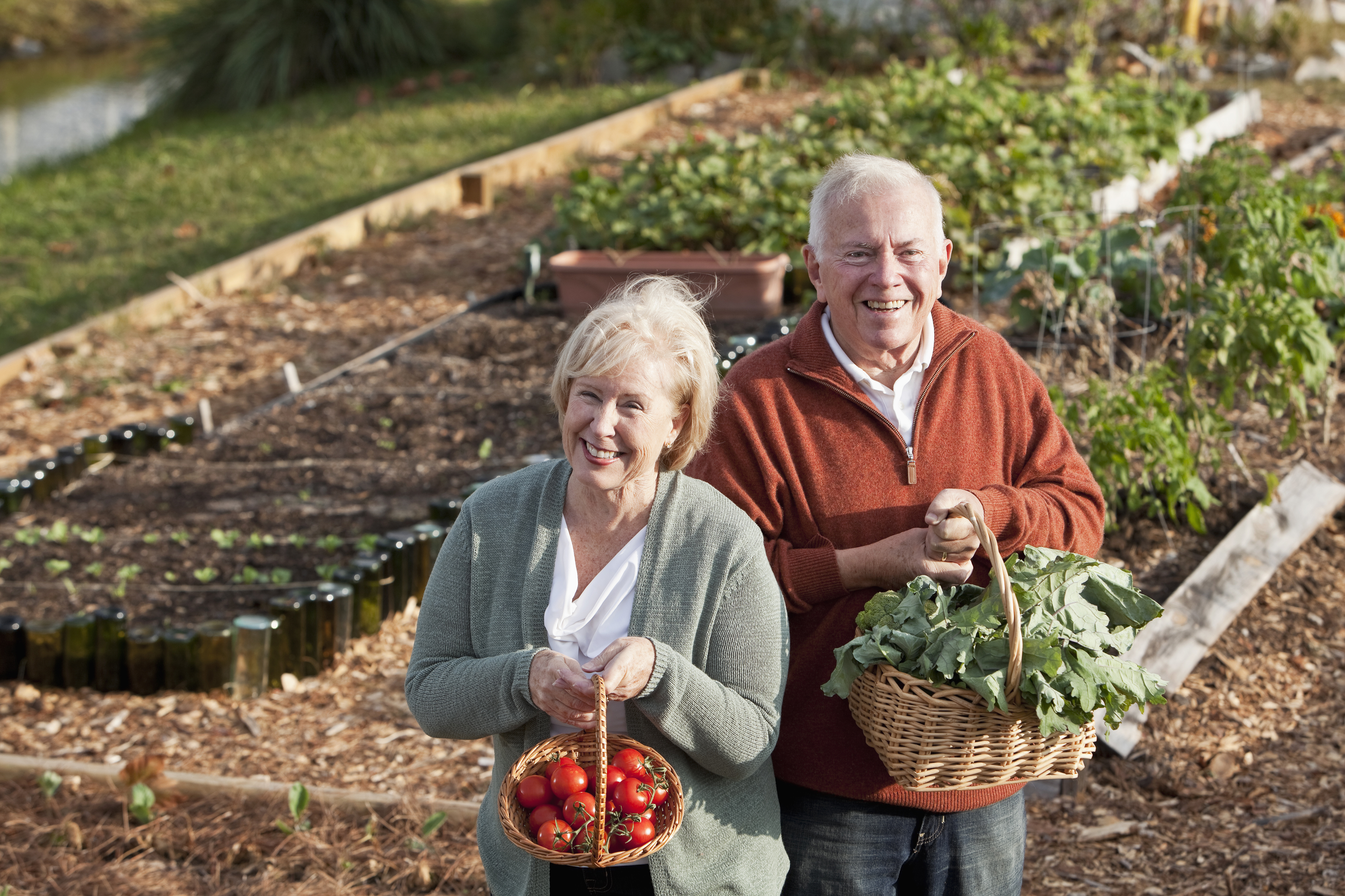 Senior couple with vegetables harvested from garden
